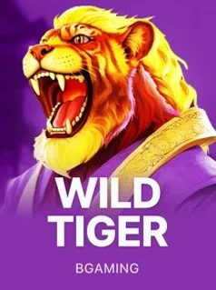Capa do slot Wild Tiger da BGaming